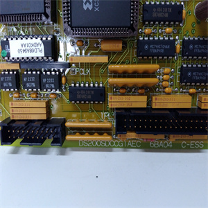 DS200SDCCG1AEC DS215SDCCG1AZZ01A全新现货