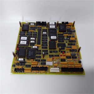 DS200SDCCG1AEC DS215SDCCG1AZZ01A全新现货