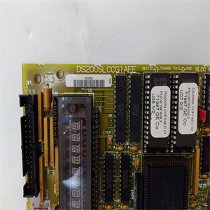 DS200SLCCG1AEE DS215SLCCG1AZZ01B全新现货