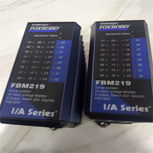 FBM219过程说明