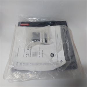 IC754VSI12VTD参数说明