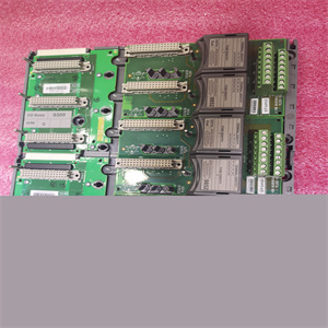 ICS TRIPLEX 9852手册指导