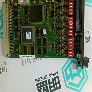 DS200TBCBG1AAA产品颜色