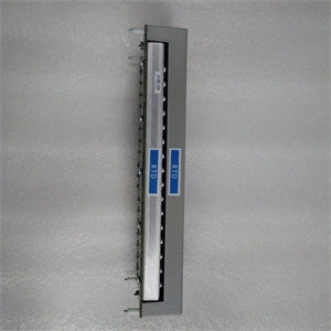 IC646NTS001参数说明
