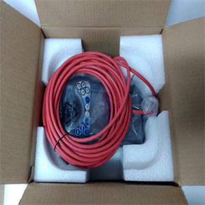 IS200ACLEH1A产品速度