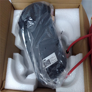 IS200ACLEH1A产品速度