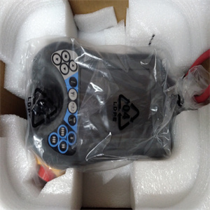 IS200CPFPG1A产品速度