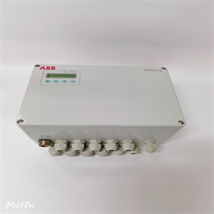 DS215UCIBG3A过程指导