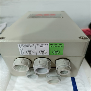 DS215UCVAG3AD说明方法