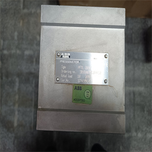 DS215SDCCG1AZZ01B配置教程